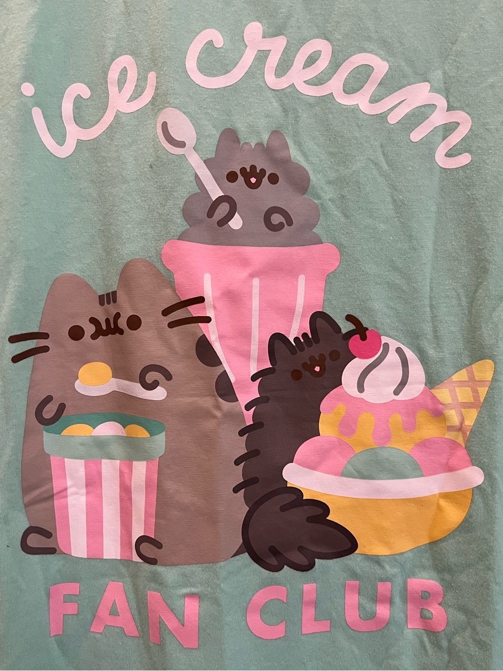 Pusheen "Ice Cream Fan Club" Graphic T-Shirt Plus Size 2XL NWOT Summer 2021 Box - Picture 2 of 4